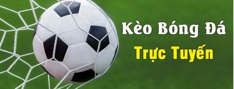 Kèo trực tuyến phổ biến gồm 3 loại cơ bản là kèo châu Á, châu Âu và Tài Xỉu