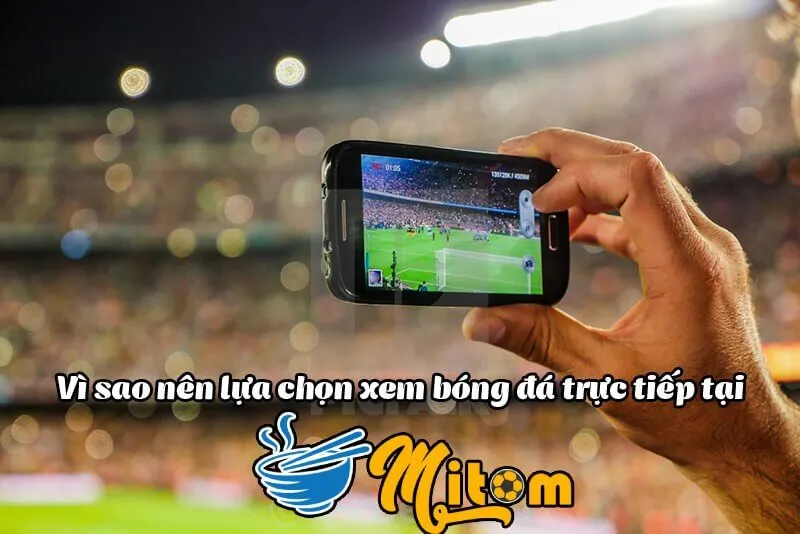 Mitom là diễn đàn chuyên cập nhật thông tin thể thao ra đời từ rất lâu