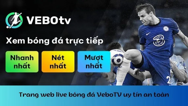 Về bờ tv là gì là cụm từ khóa đang được nhiều anh em tìm kiếm