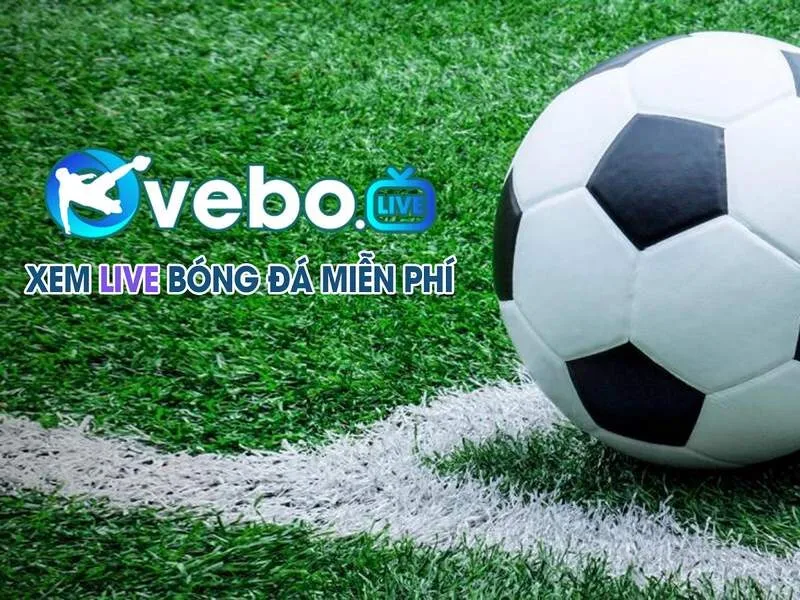 Về bờ tv là gì