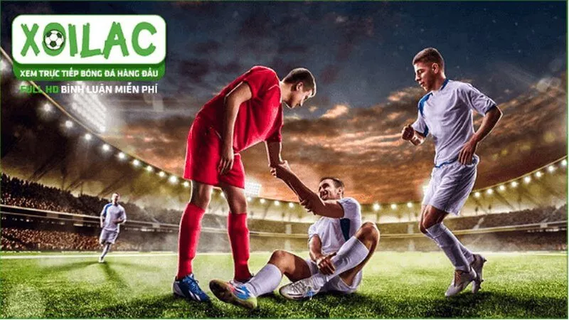 Website đảm bảo cho người xem rằng các link được cung cấp đều vô cùng tin cậy