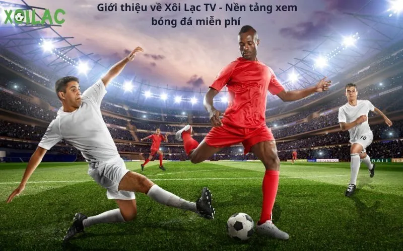 Giao diện Xôi Lạc cực kỳ ấn tượng
